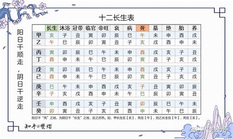 12 長生|八字十二長生解讀——長生